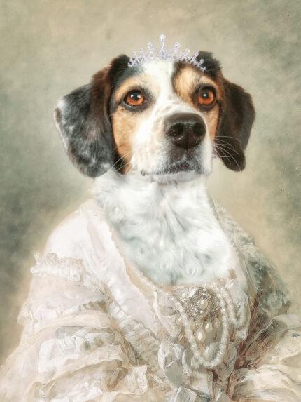 reine royale chien pettoile