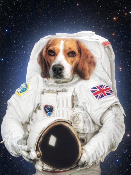 uzayda astronot köpek tablosu