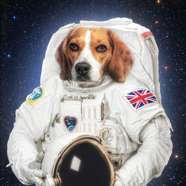 uzayda astronot köpek tablosu
