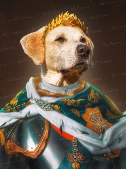 Labrador animal de compagnie royal