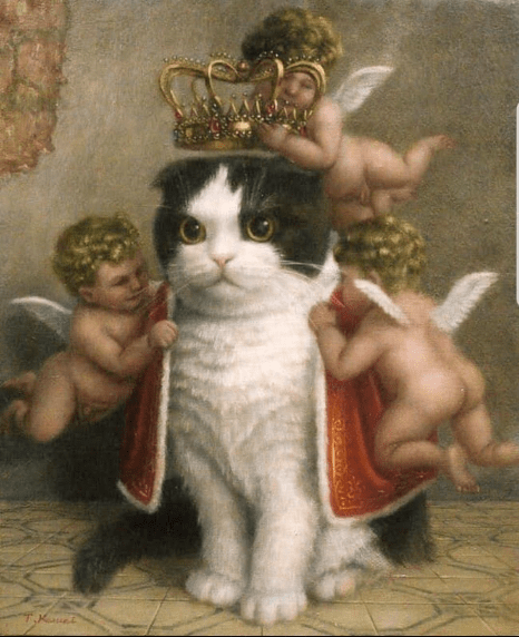 angel cat portrait